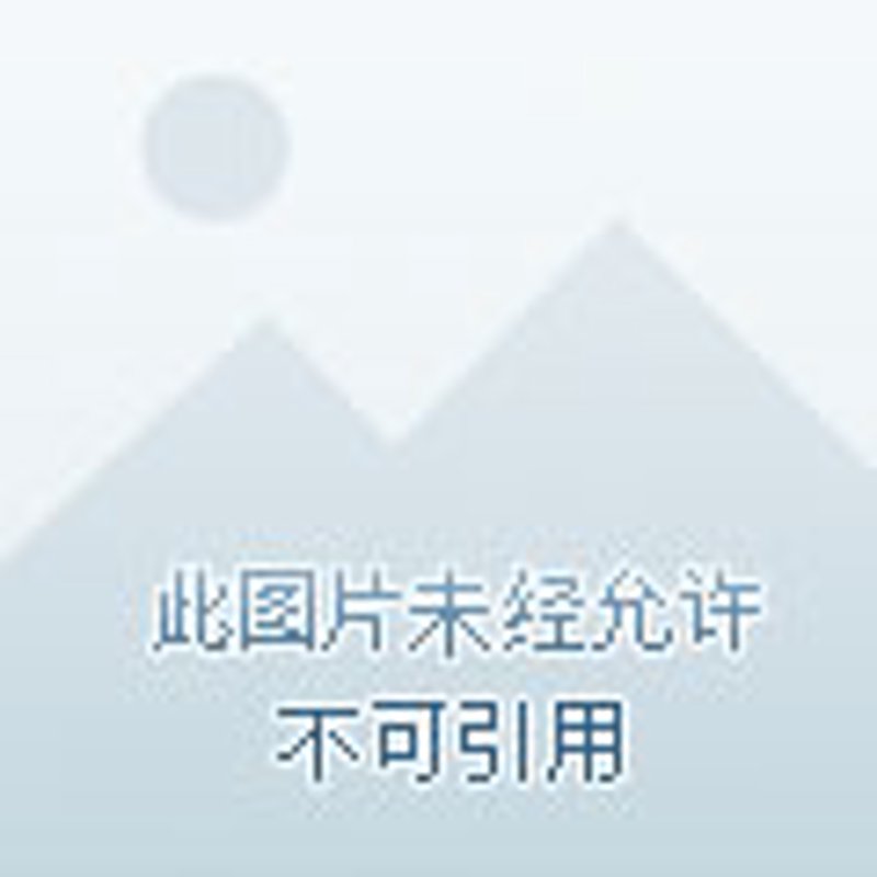 近年来，上海铜业市场的发展引起了广泛关注。本文将从多个维度对比分析不同企业在中国市场的表现，并通过具体案例说明其优势与不足。